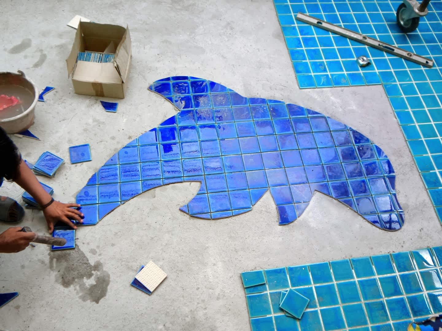 Swimming Pool Tile Installation Near in Charlotte, NC